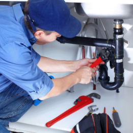 isotipo de la empresa